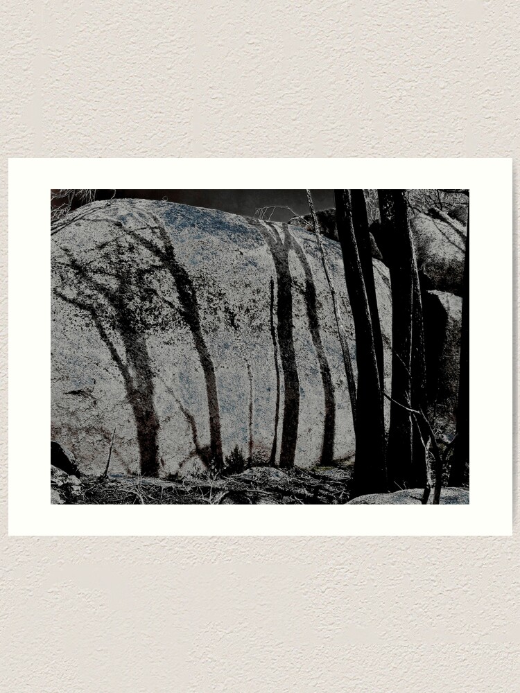 Alternate view of Burnt Shadows Art Print