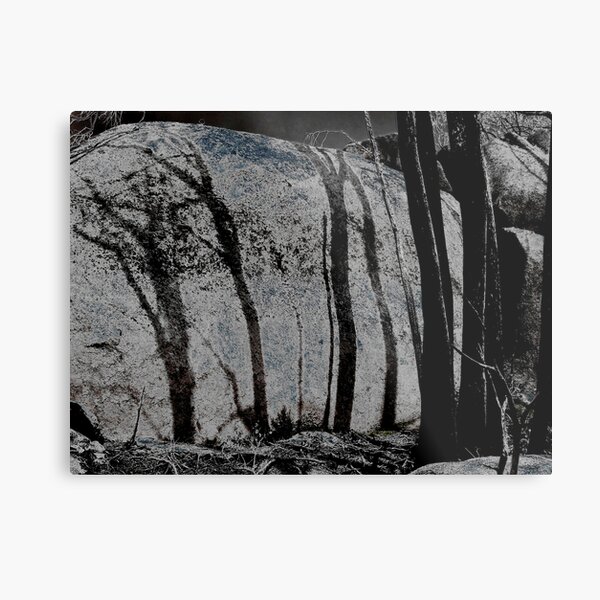 Burnt Shadows Metal Print