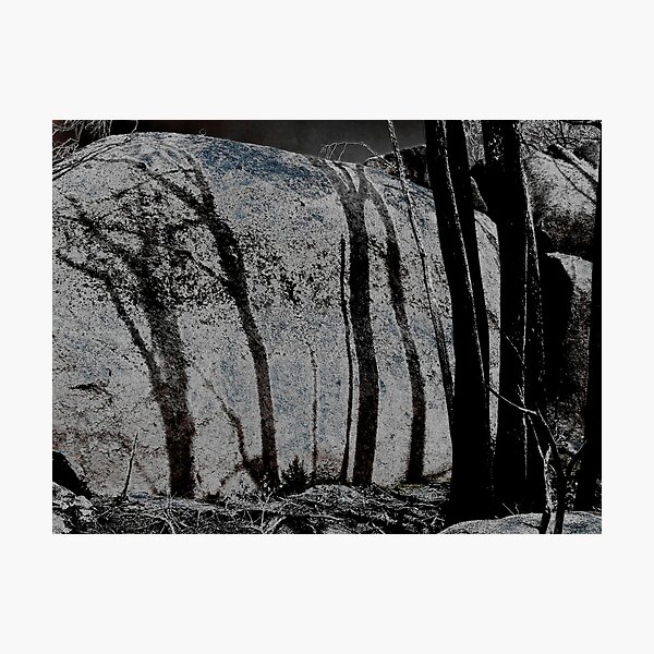 Burnt Shadows Photographic Print