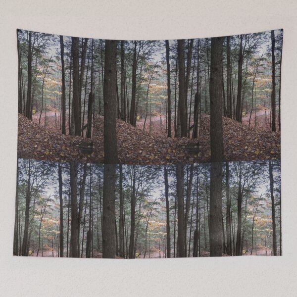 Item preview, The Way Home designed and sold by RVogler.