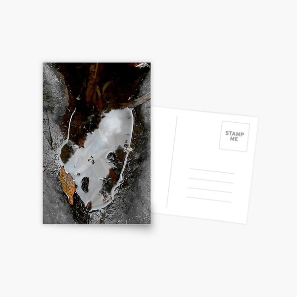 Quiet Decay Postcard