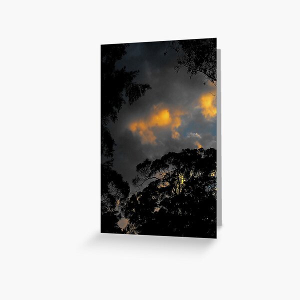 Bright through darkness Greeting Card