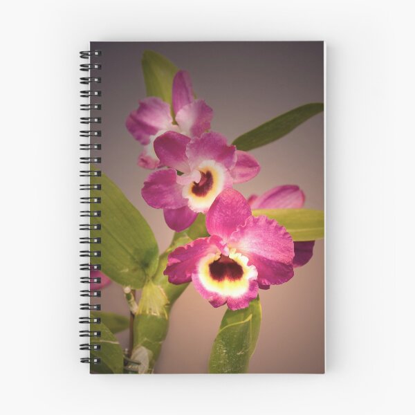 Item preview, Nuance is Phalaenopsis designed and sold by Adam Bykowski.