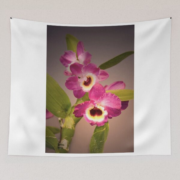 Item preview, Nuance is Phalaenopsis designed and sold by Adam Bykowski.