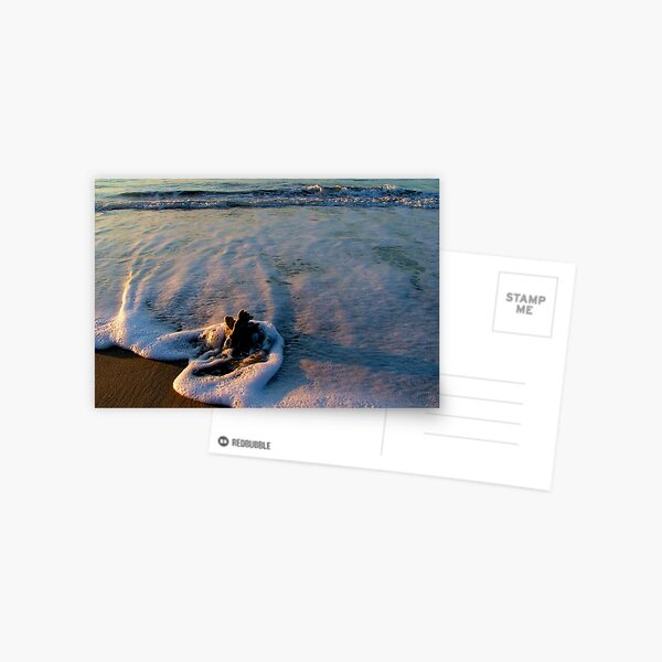 Washed up Postcard