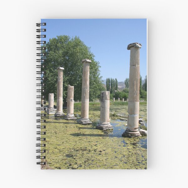 Item preview, Ionic Roman Columns, Aphrodisias designed and sold by taiche.
