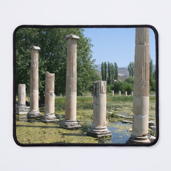 Item preview, Ionic Roman Columns, Aphrodisias designed and sold by taiche.