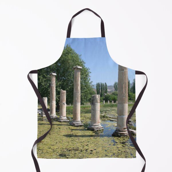 Item preview, Ionic Roman Columns, Aphrodisias designed and sold by taiche.