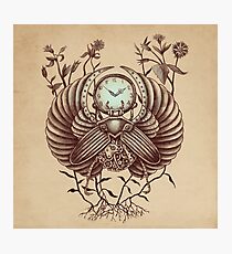 Time Flies Photographic Print