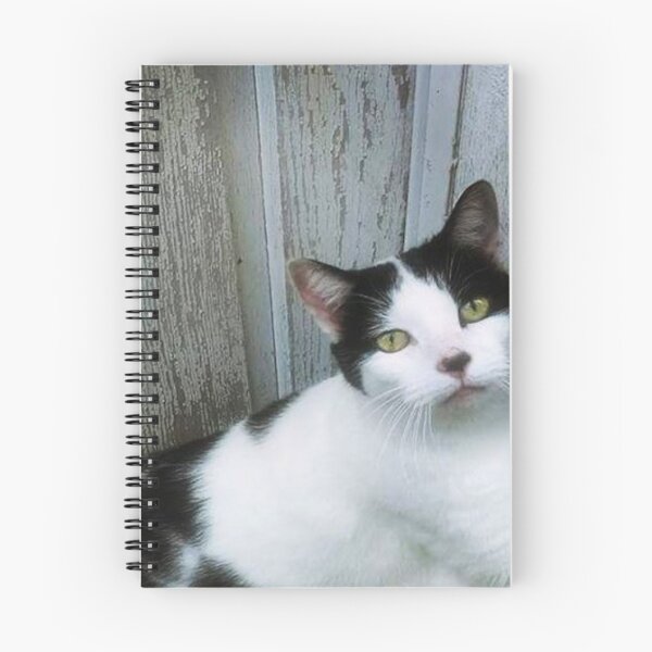 Item preview, Barn Cat designed and sold by Evesunderground.
