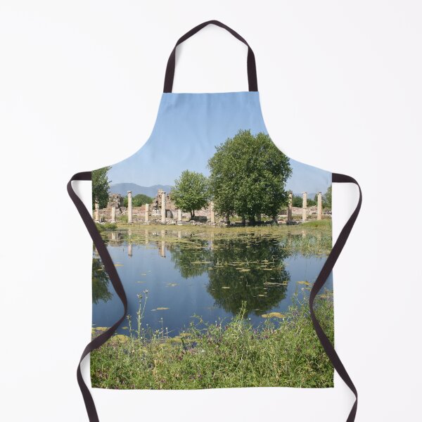 Item preview, Underwater Remains Of The Ionic Portico, Aphrodisias designed and sold by taiche.