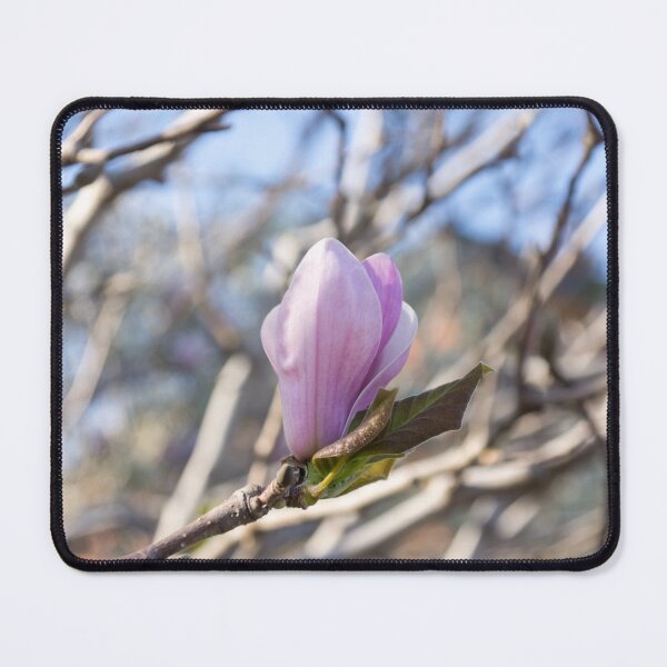 Item preview, Happy Earthtones and Pink - Springtime Magnolia Blossom designed and sold by Georgia Mizuleva.