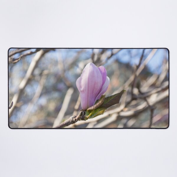 Item preview, Happy Earthtones and Pink - Springtime Magnolia Blossom designed and sold by Georgia Mizuleva.