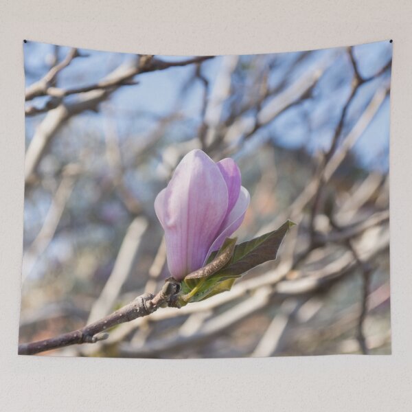 Item preview, Happy Earthtones and Pink - Springtime Magnolia Blossom designed and sold by Georgia Mizuleva.