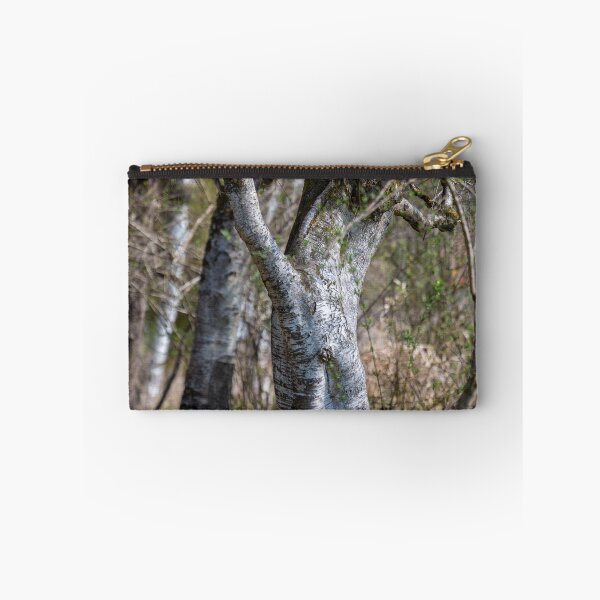Item preview, Downy birches in Bad Buchau designed and sold by OskiOnTour.