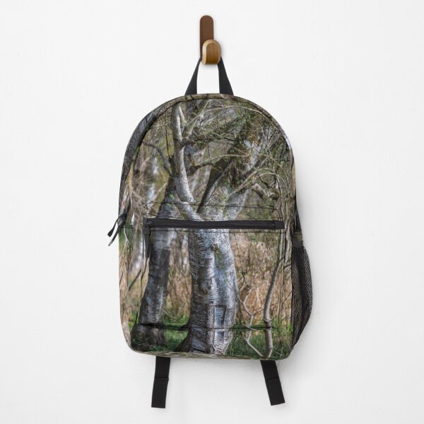 Item preview, Downy birches in Bad Buchau designed and sold by OskiOnTour.