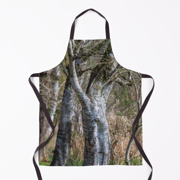 Item preview, Downy birches in Bad Buchau designed and sold by OskiOnTour.