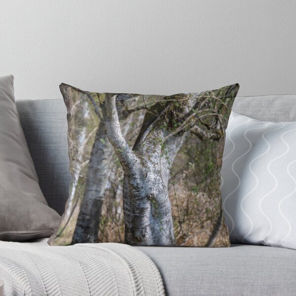 Item preview, Downy birches in Bad Buchau designed and sold by OskiOnTour.