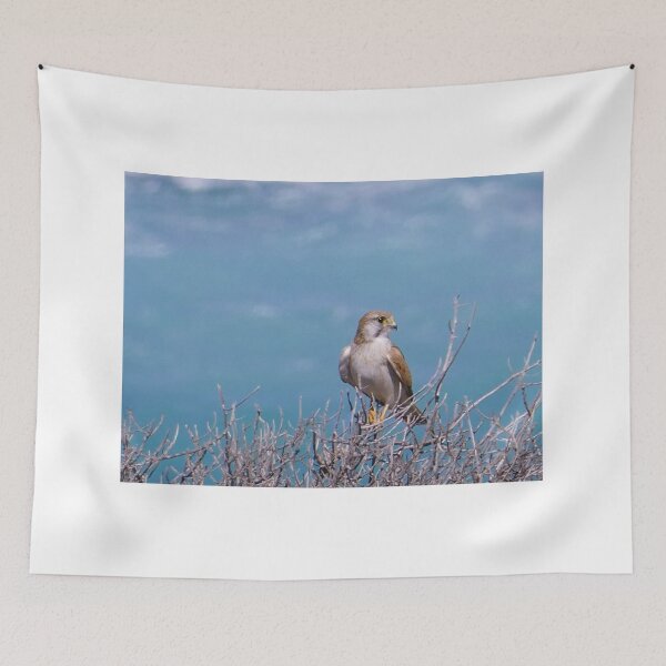 Item preview, Hawk  designed and sold by Steve9.