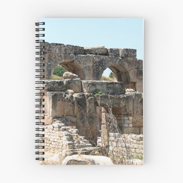 Item preview, Hadrianic Baths Aphrodisias Roman Archeology designed and sold by taiche.