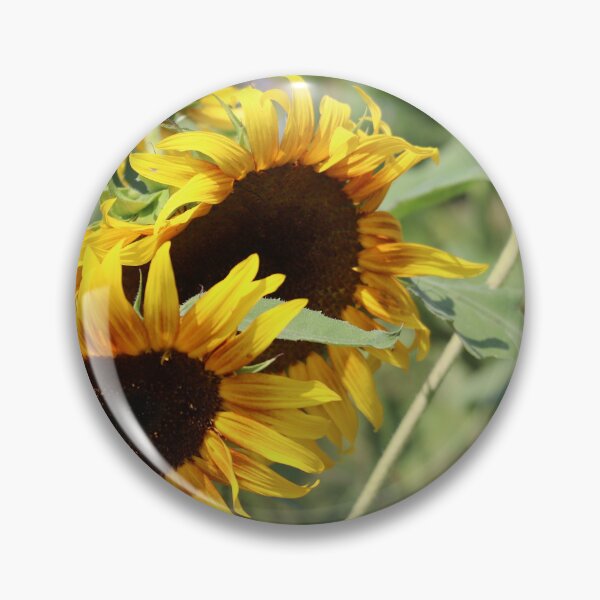 Item preview, Sunflower in the fields  designed and sold by Briannes-Shop.