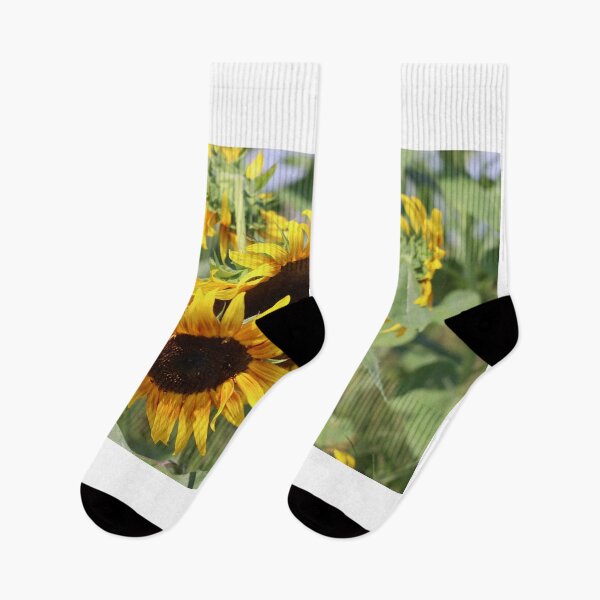 Item preview, Sunflower in the fields  designed and sold by Briannes-Shop.