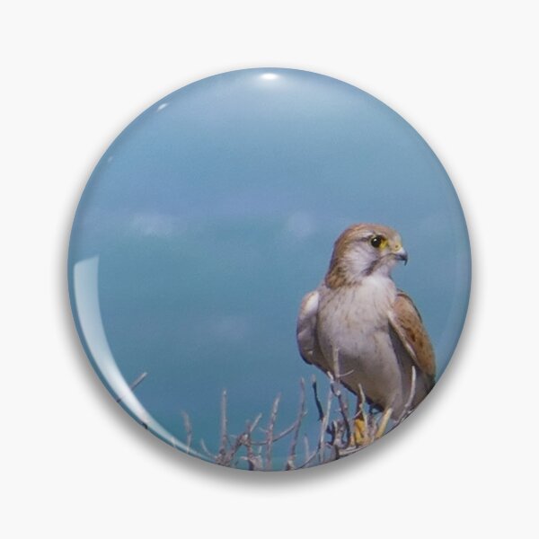 Item preview, Hawk  designed and sold by Steve9.