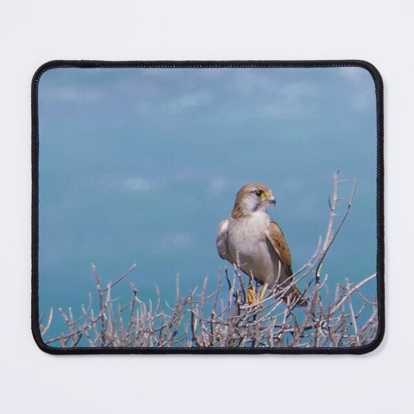Item preview, Hawk designed and sold by Steve9.