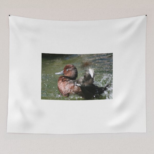 Item preview, Cinnamon Teal bathing.. designed and sold by RichImage.