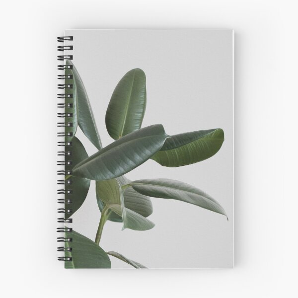 Item preview, Rubber plant designed and sold by Julia Jane Creative.