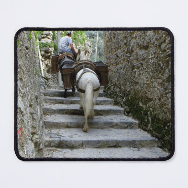 Item preview, The Muleteer designed and sold by Marco-Eye-View.