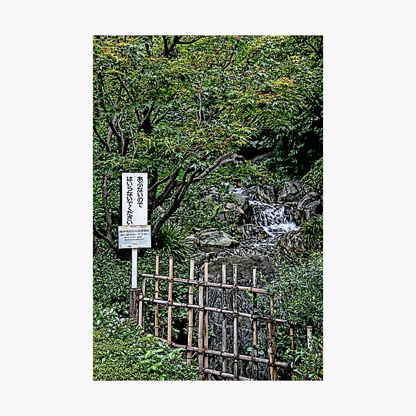 Japanese Garden Photographic Print