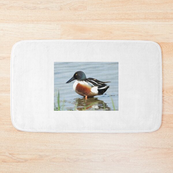 Item preview, A Wonderful  Male Shoveler Duck designed and sold by Karen Thomson.