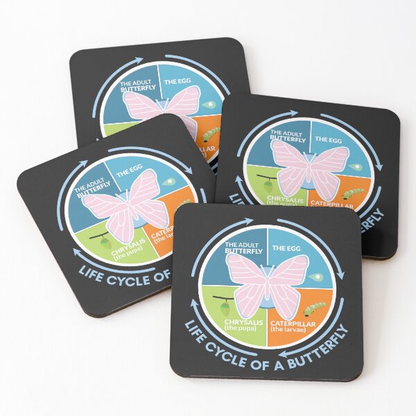 Item preview, Life cycle of a Butterfly science notes designed and sold by Think4Prints.