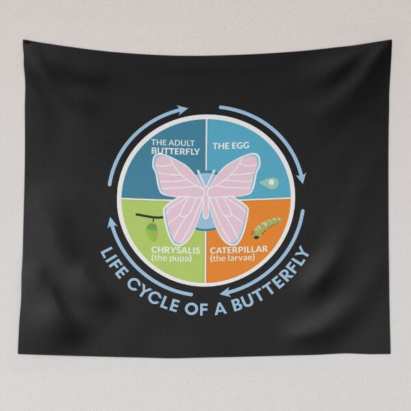 Item preview, Life cycle of a Butterfly science notes designed and sold by Think4Prints.