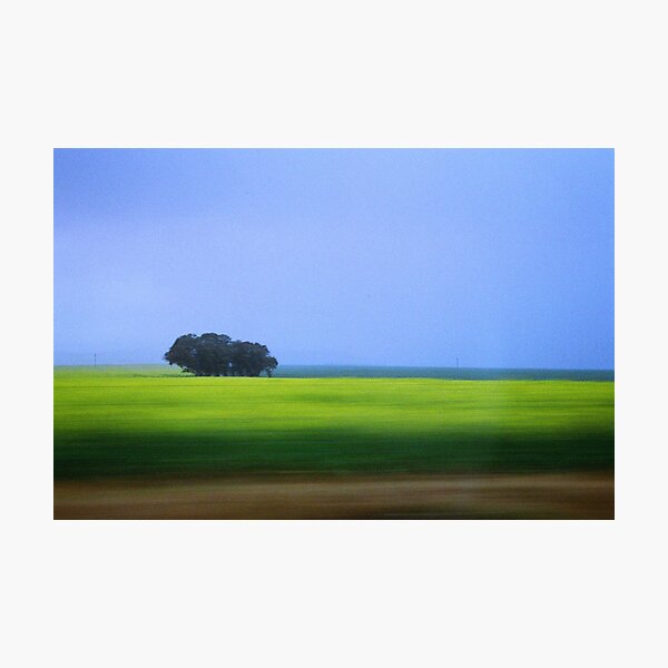 Aperçu de l'œuvre Green pastures créée et vendue par Liesl.