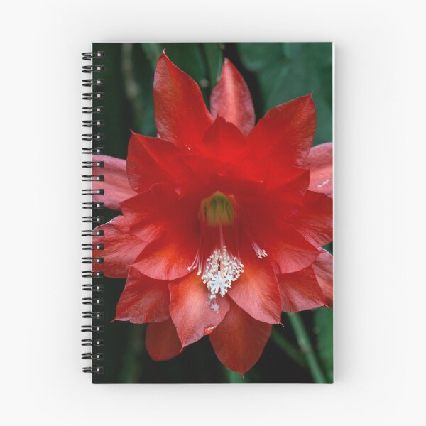 Item preview, Red Flower designed and sold by WhateverAngie.