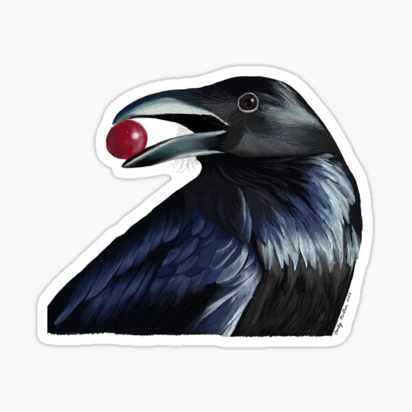 &ldquo;The Crow&rdquo; Sticker by fishfeet | Redbubble