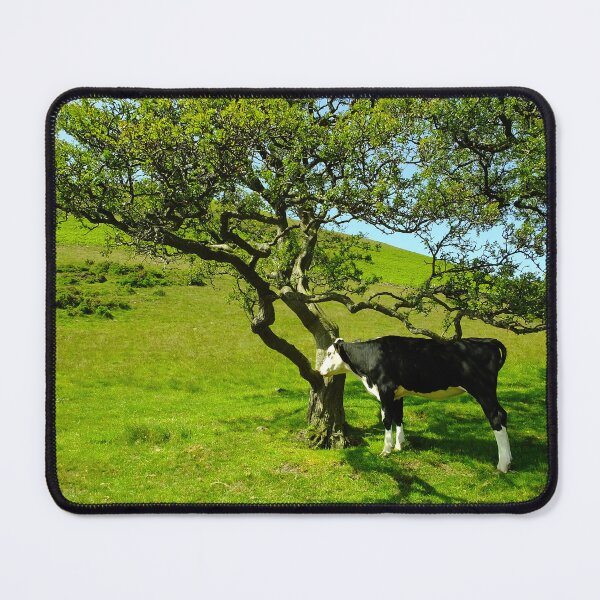 Item preview, I love this tree designed and sold by Marco-Eye-View.