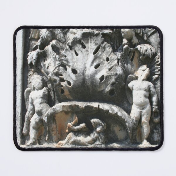 Item preview, The Pilaster Friezes of the Palaestra, Aphrodisias designed and sold by taiche.