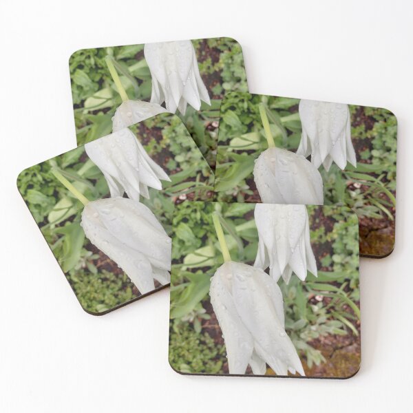 Item preview, White tulips designed and sold by jdphotos.