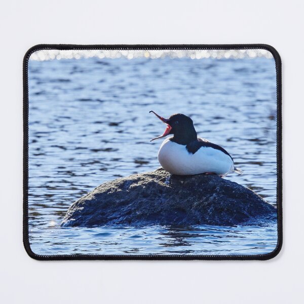 Item preview, Yawn. Common merganser designed and sold by Jouko Lehto Photography.