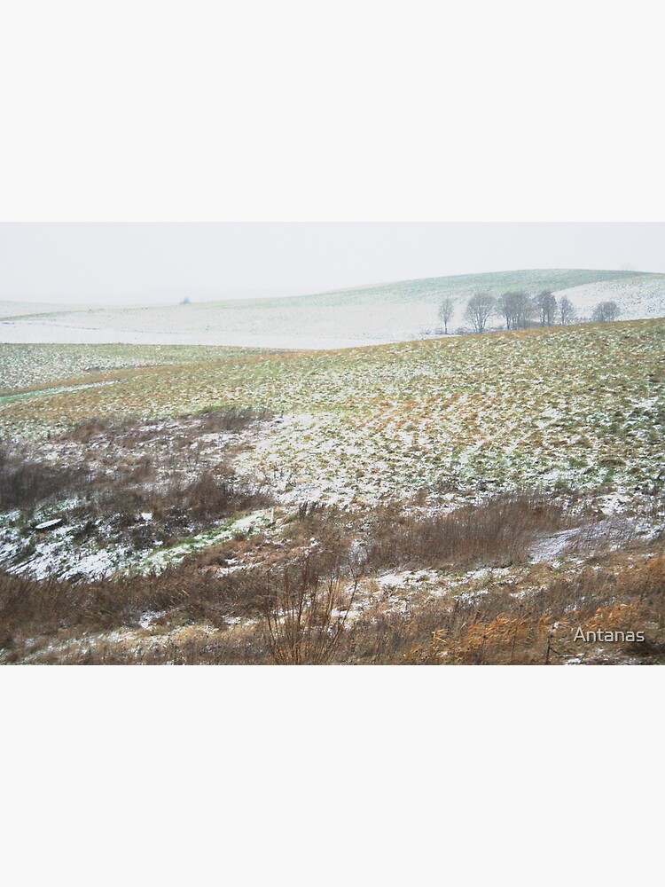 The First Step of Winter by Antanas