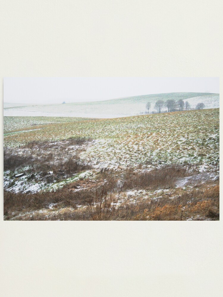 Alternate view of The First Step of Winter Photographic Print