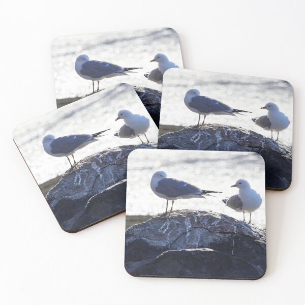 Item preview, Bad morning ha. Sea mew designed and sold by Jouko Lehto Photography.