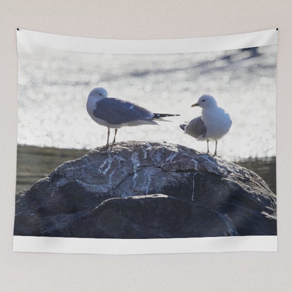Item preview, Bad morning ha. Sea mew designed and sold by Jouko Lehto Photography.