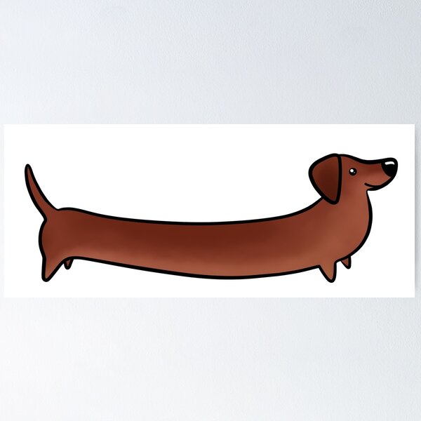 Very Long Dachshund Red Poster for Sale by Tessa Cheung Redbubble