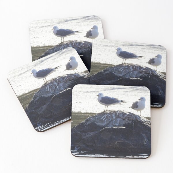 Item preview, Looking bright now. Sea mew designed and sold by Jouko Lehto Photography.