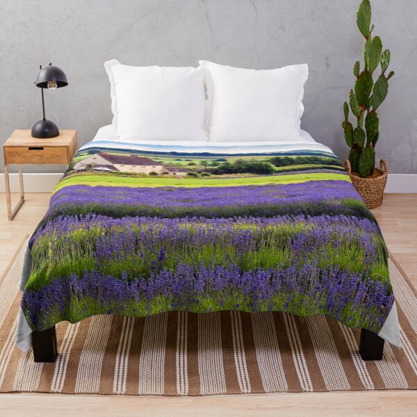 Item preview, Lavender Field Summer Flowers Cotswolds England designed and sold by AndyEvansPhotos.