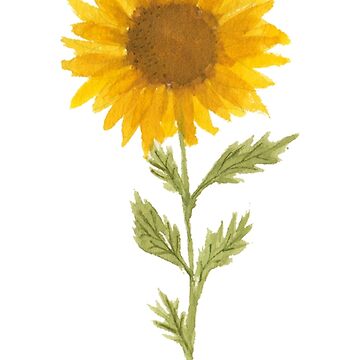 Artwork thumbnail, Lovely Sunflower by geekgo